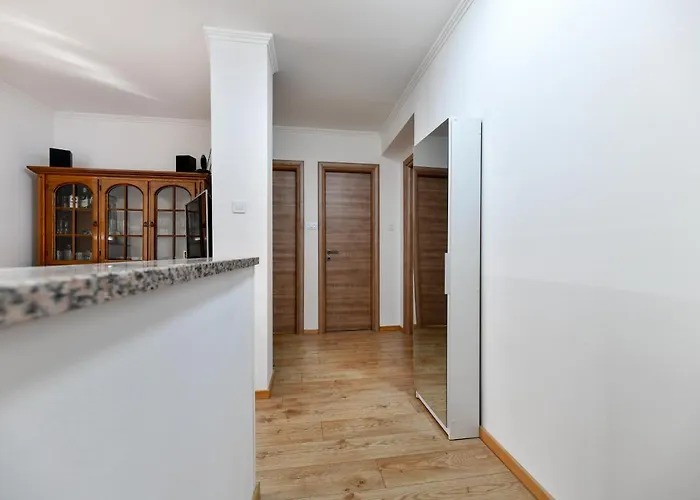 Nightbird Задар